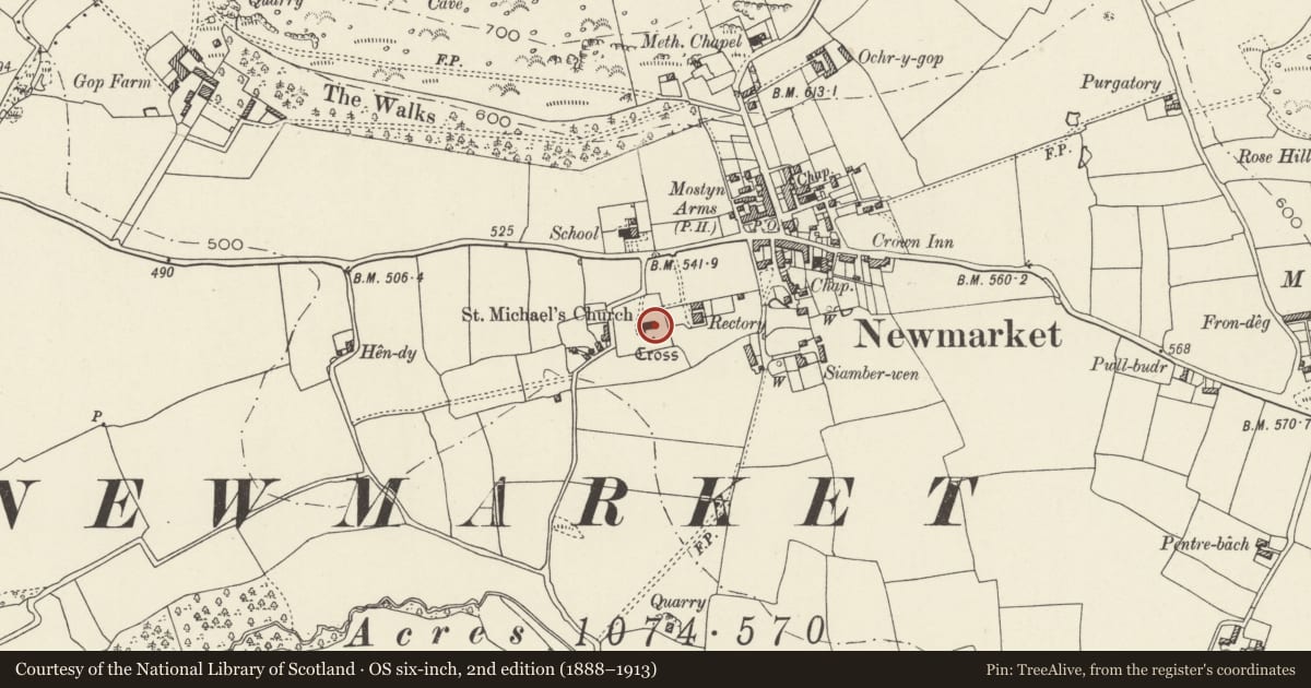 Ordnance Survey six-inch map, 2nd edition (1888–1913) covering the location of Church of St Michael & All Angels, Trelawnyd and Gwaenysgor, Flintshire, with a pin at the register's coordinates