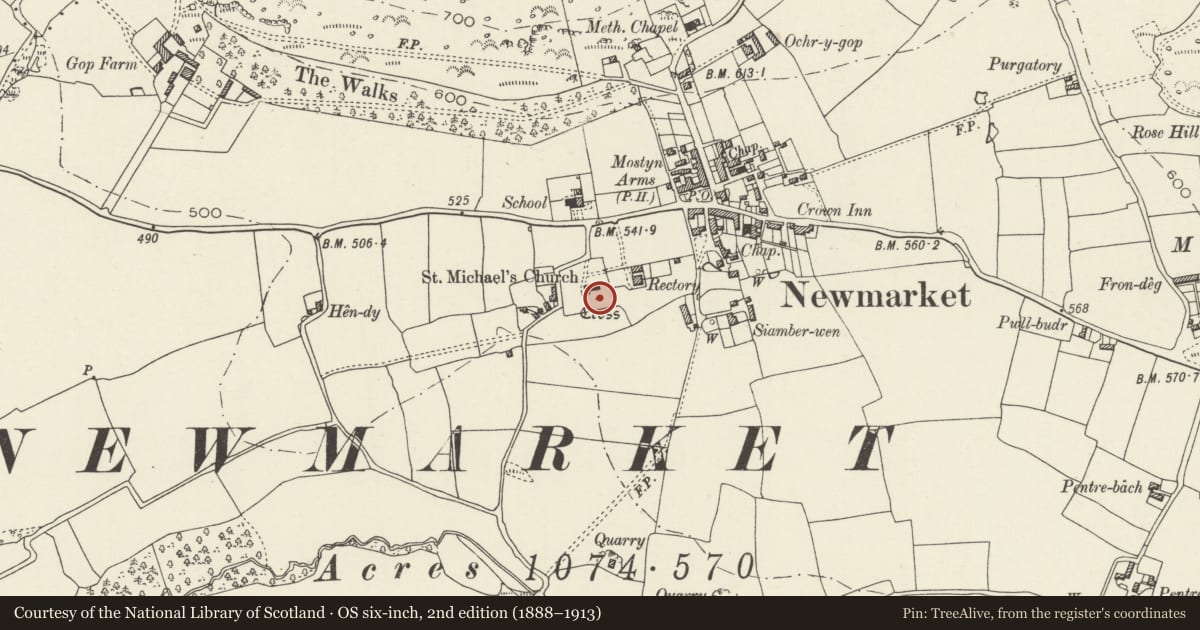 Ordnance Survey six-inch map, 2nd edition (1888–1913) covering the location of Cross in churchyard of the Church of St Michael & All Angels, Trelawnyd and Gwaenysgor, Flintshire, with a pin at the register's coordinates
