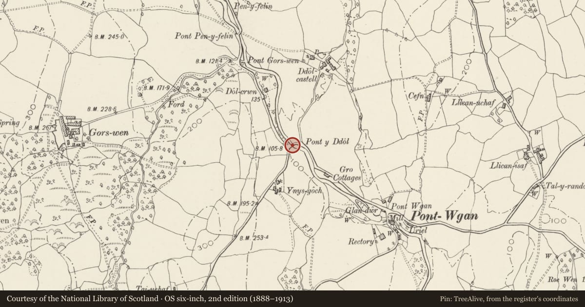 Ordnance Survey six-inch map, 2nd edition (1888–1913) covering the location of Pont y Ddol, Caerhun, Conwy, with a pin at the register's coordinates
