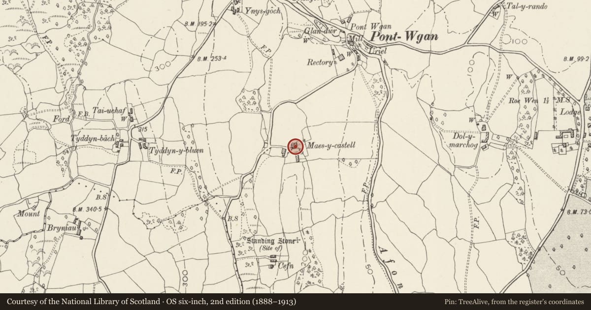 Ordnance Survey six-inch map, 2nd edition (1888–1913) covering the location of Maes-y-Castell, Caerhun, Conwy, with a pin at the register's coordinates