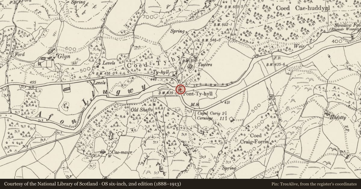 Ordnance Survey six-inch map, 2nd edition (1888–1913) covering the location of Pont Ty-Hyll, Capel Curig, Conwy, with a pin at the register's coordinates