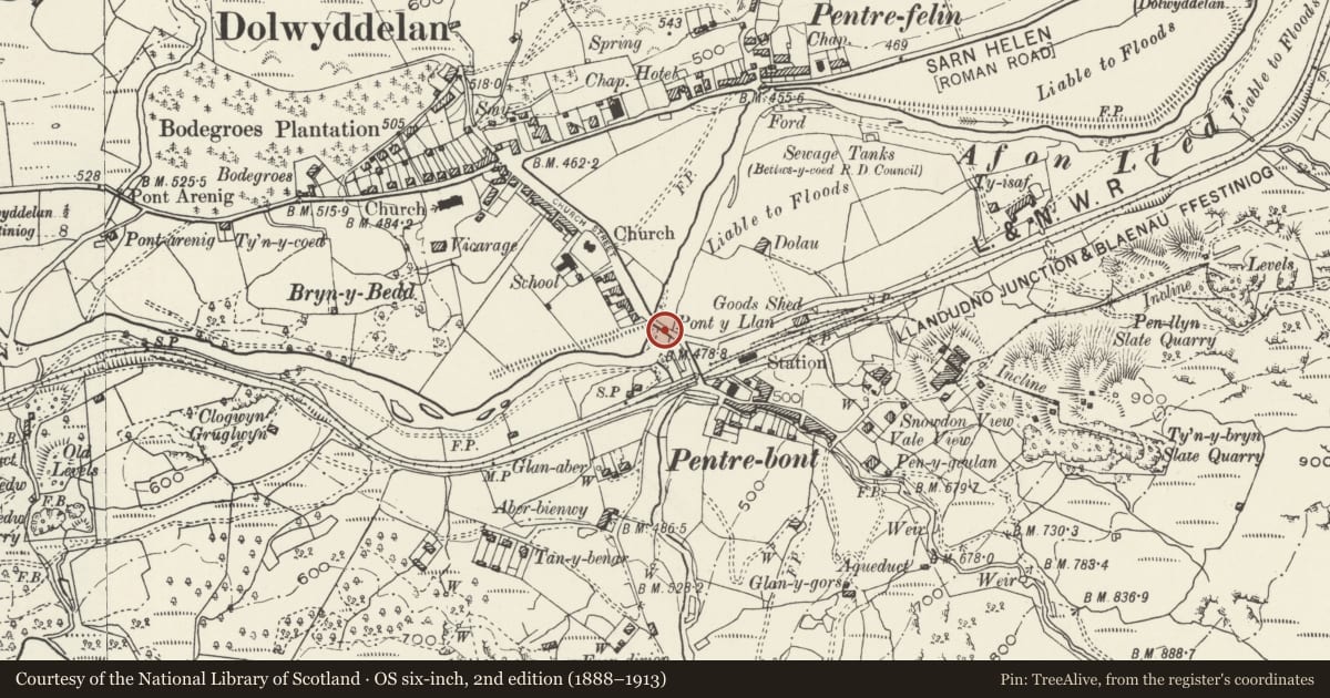 Ordnance Survey six-inch map, 2nd edition (1888–1913) covering the location of Pont-y-Llan, Dolwyddelan, Conwy, with a pin at the register's coordinates