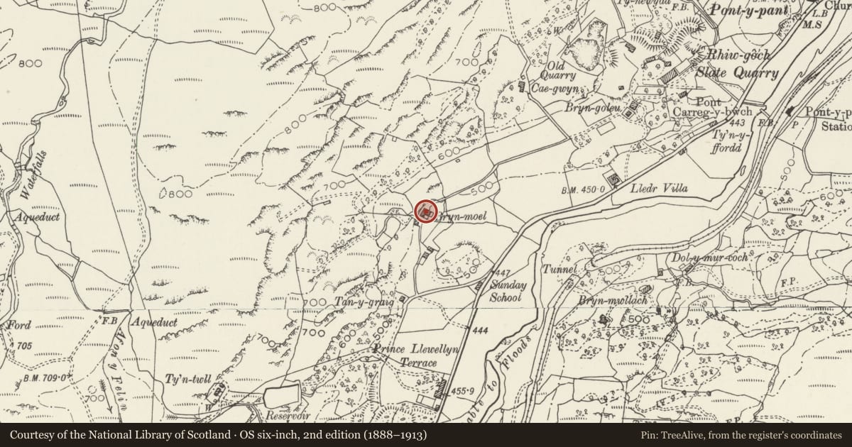 Ordnance Survey six-inch map, 2nd edition (1888–1913) covering the location of Bryn-moel, Dolwyddelan, Conwy, with a pin at the register's coordinates