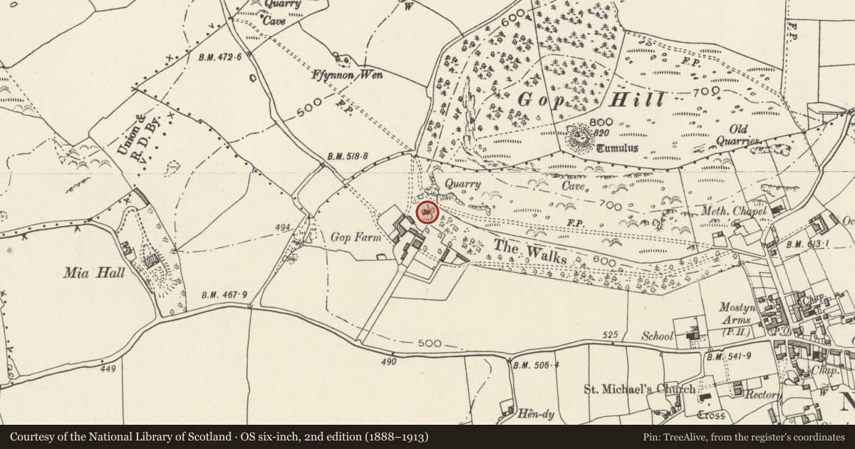 Ordnance Survey six-inch map, 2nd edition (1888–1913) covering the location of Dovecote at Gop Farm, Trelawnyd and Gwaenysgor, Flintshire, with a pin at the register's coordinates