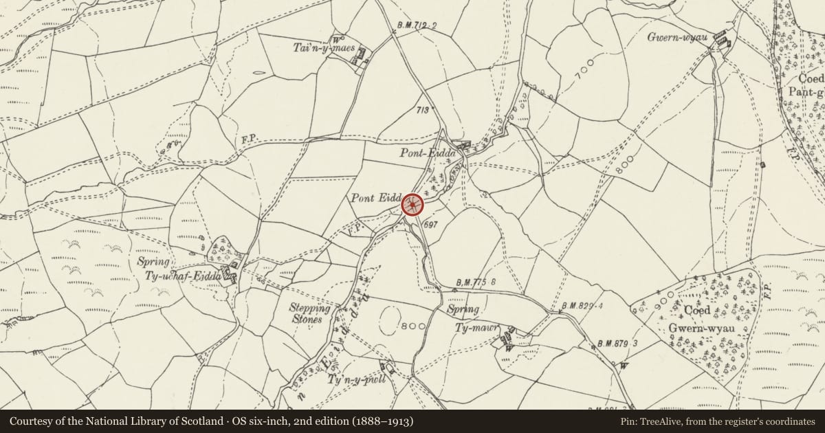 Ordnance Survey six-inch map, 2nd edition (1888–1913) covering the location of Pont Eidda, Ysbyty Ifan, Conwy, with a pin at the register's coordinates
