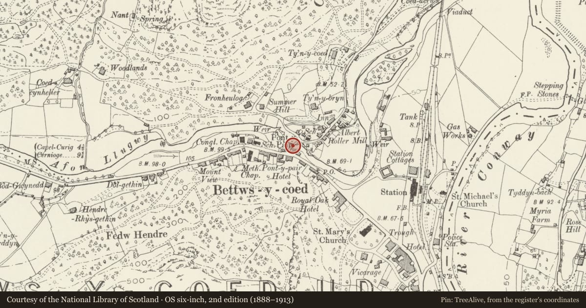 Ordnance Survey six-inch map, 2nd edition (1888–1913) covering the location of Pont-y-Pair, Betws-y-Coed, Conwy, with a pin at the register's coordinates
