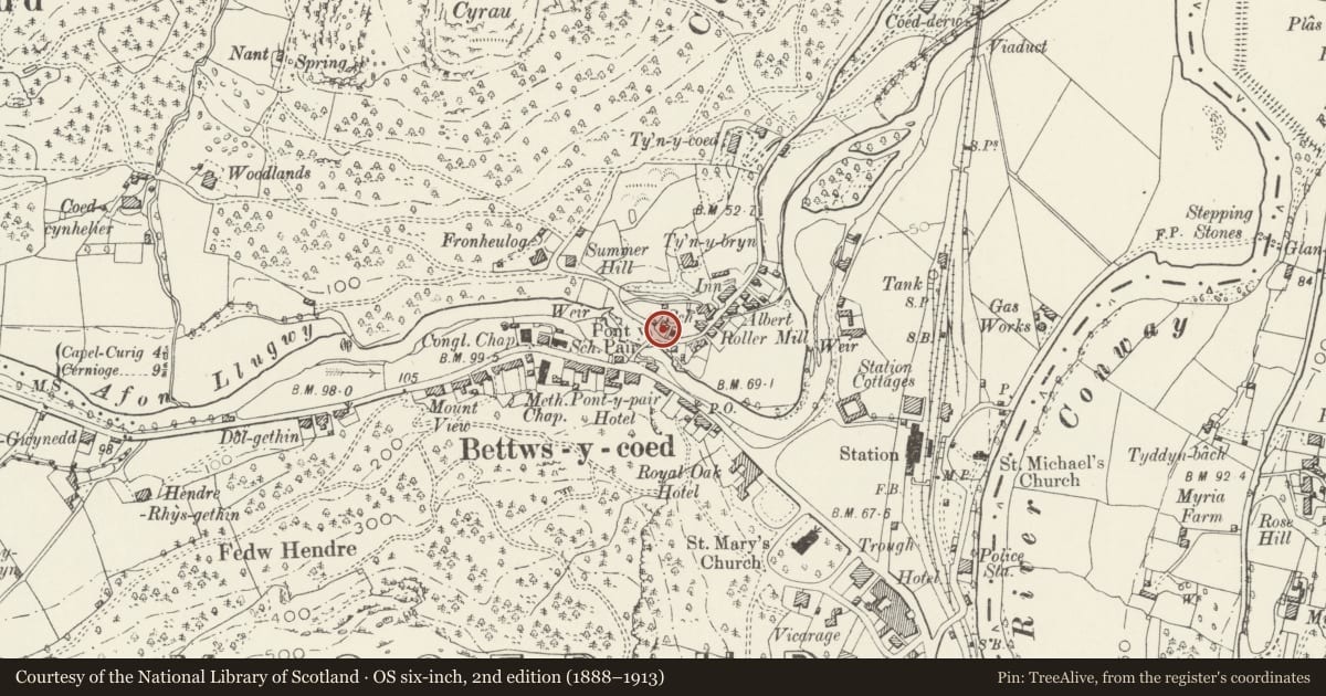 Ordnance Survey six-inch map, 2nd edition (1888–1913) covering the location of Bryn-y-Bont, Betws-y-Coed, Conwy, with a pin at the register's coordinates