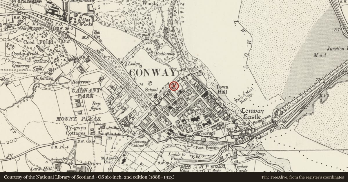 Ordnance Survey six-inch map, 2nd edition (1888–1913) covering the location of Conwy town wall, with a pin at the register's coordinates