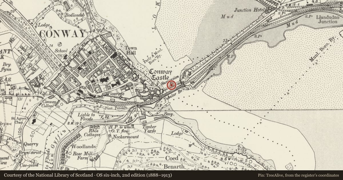Ordnance Survey six-inch map, 2nd edition (1888–1913) covering the location of Conwy Suspension Bridge, with a pin at the register's coordinates