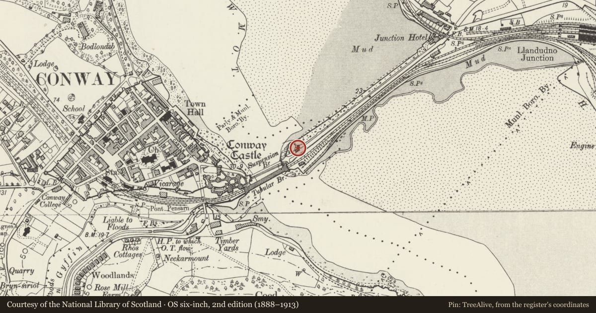 Ordnance Survey six-inch map, 2nd edition (1888–1913) covering the location of Toll house at Conwy Suspension Bridge, with a pin at the register's coordinates