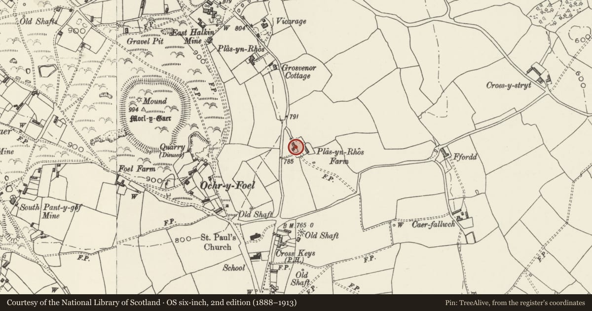 Ordnance Survey six-inch map, 2nd edition (1888–1913) covering the location of Plas-yn-rhos, Halkyn, Flintshire, with a pin at the register's coordinates