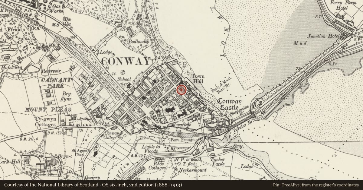 Ordnance Survey six-inch map, 2nd edition (1888–1913) covering the location of House and Celtic Shops Ltd, Conwy, with a pin at the register's coordinates