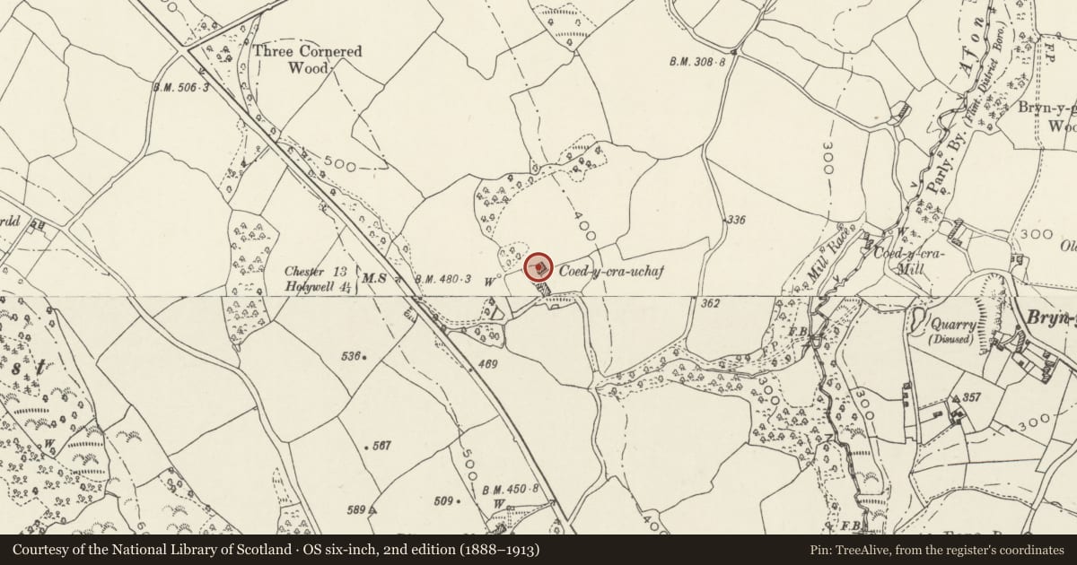 Ordnance Survey six-inch map, 2nd edition (1888–1913) covering the location of Coed-y-cra Uchaf, Halkyn, Flintshire, with a pin at the register's coordinates
