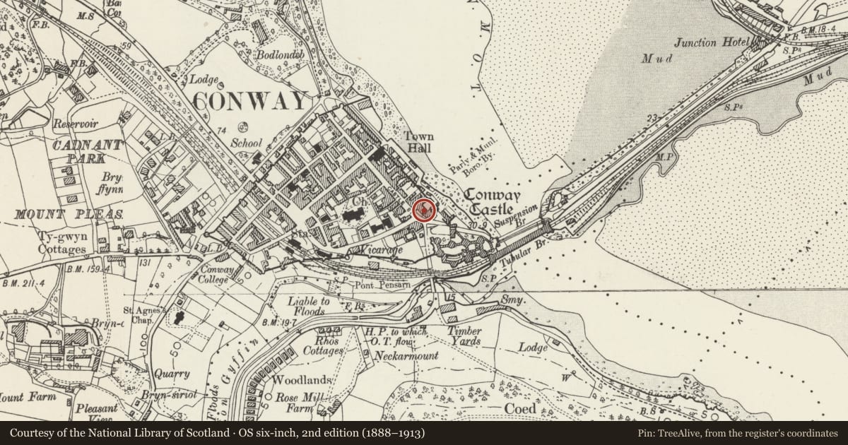 Ordnance Survey six-inch map, 2nd edition (1888–1913) covering the location of Bodreinallt Surgery, Conwy, with a pin at the register's coordinates