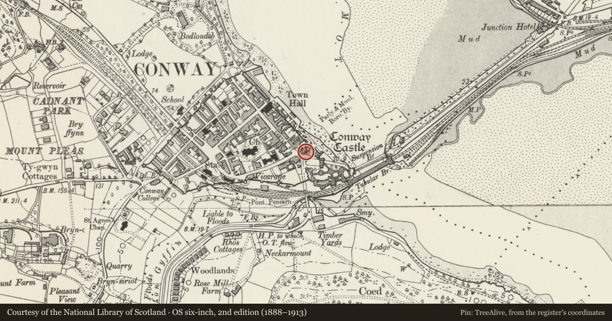 Ordnance Survey six-inch map, 2nd edition (1888–1913) covering the location of Knights Gone By (also known as Plas Fardre), Conwy, with a pin at the register's coordinates