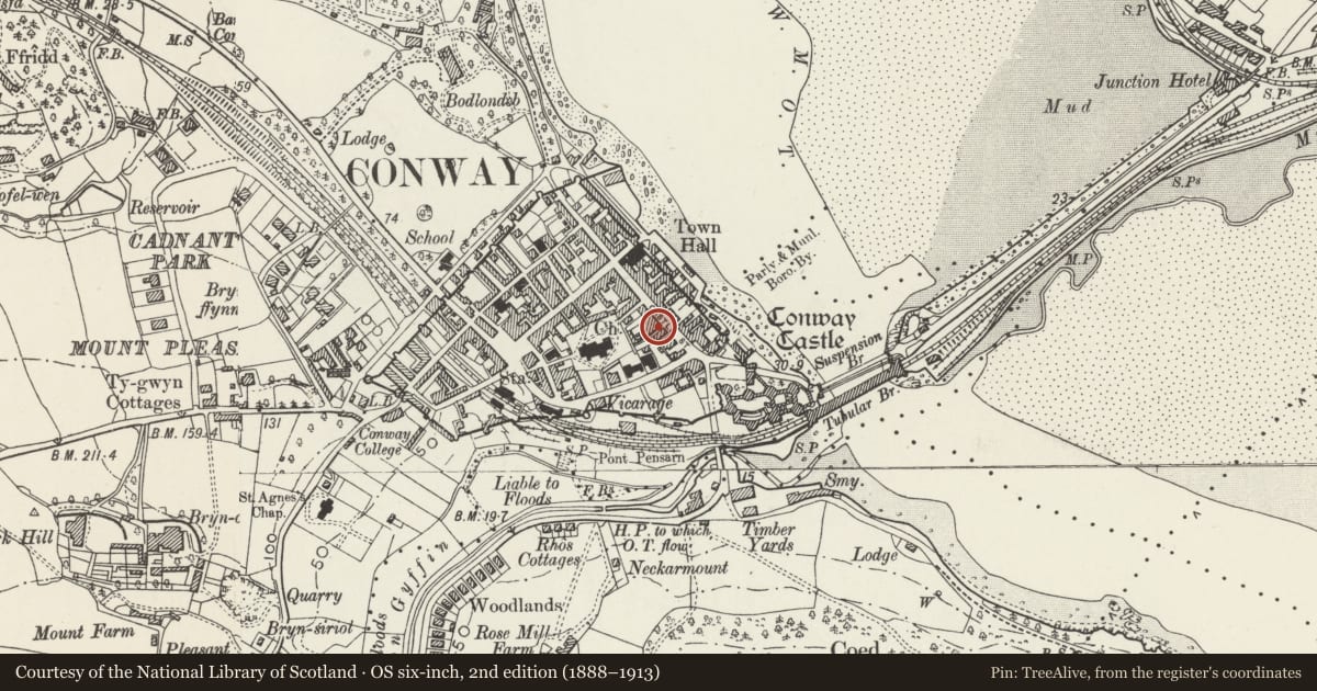 Ordnance Survey six-inch map, 2nd edition (1888–1913) covering the location of Ye Old College, Yr Hen Coleg (D. Wyn Roberts Ltd, Tailors, and 1-3 College Court), Conwy, with a pin at the register's coordinates