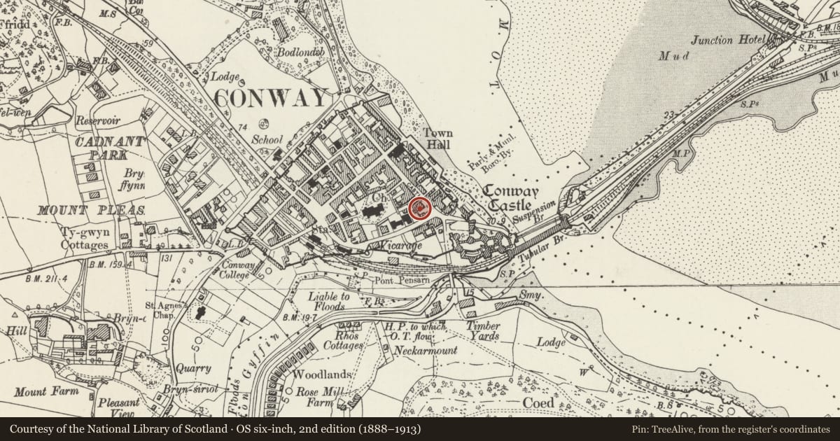 Ordnance Survey six-inch map, 2nd edition (1888–1913) covering the location of NatWest Bank, Conwy, with a pin at the register's coordinates