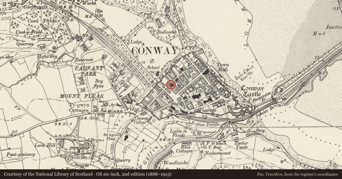 Ordnance Survey six-inch map, 2nd edition (1888–1913) covering the location of Capel Tabernacl, Conwy, with a pin at the register's coordinates