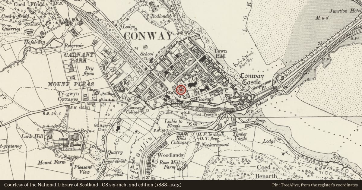 Ordnance Survey six-inch map, 2nd edition (1888–1913) covering the location of 5 Church Street, Conwy, with a pin at the register's coordinates