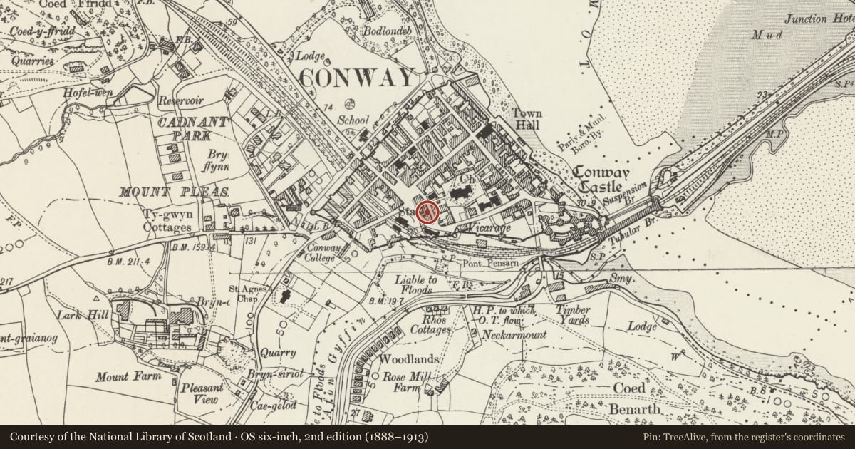 Ordnance Survey six-inch map, 2nd edition (1888–1913) covering the location of 8 Church Street, Conwy, with a pin at the register's coordinates