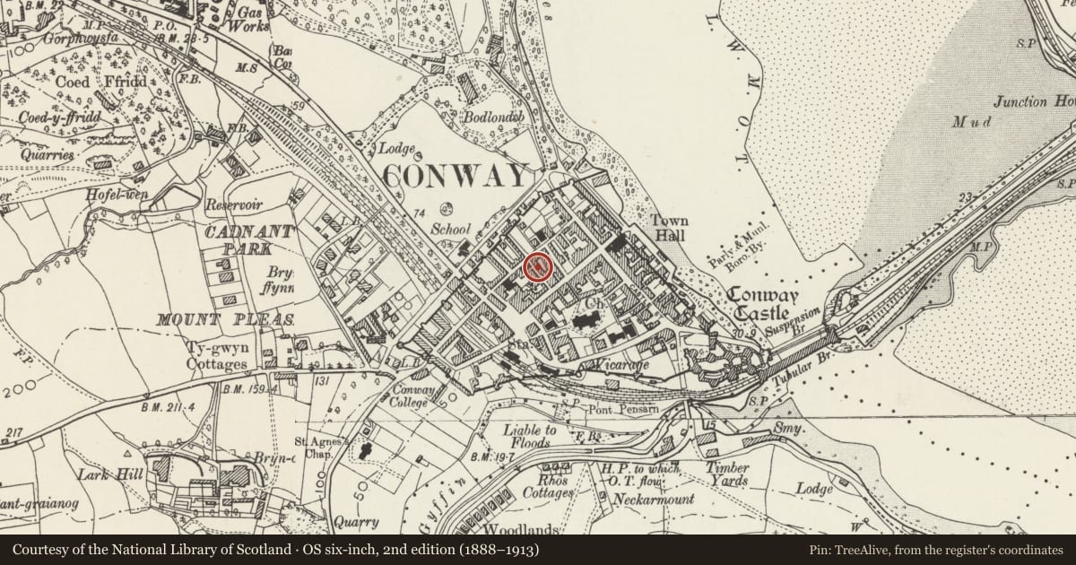 Ordnance Survey six-inch map, 2nd edition (1888–1913) covering the location of 12 Crown Lane, Conwy, with a pin at the register's coordinates