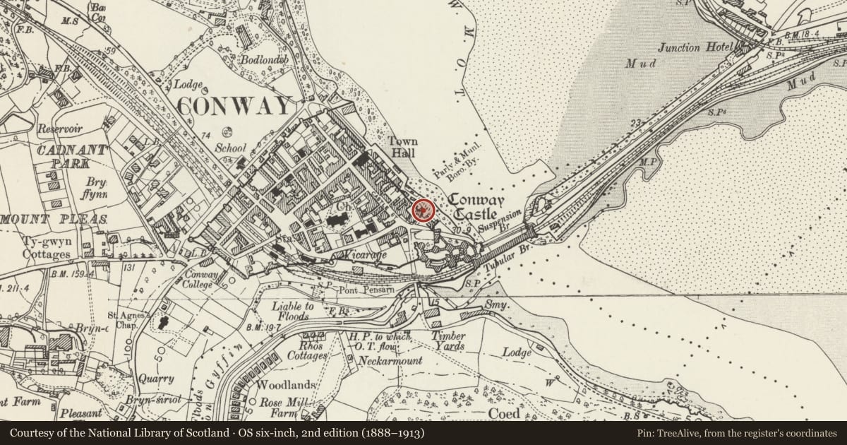 Ordnance Survey six-inch map, 2nd edition (1888–1913) covering the location of Harbour Master's Office, Conwy, with a pin at the register's coordinates
