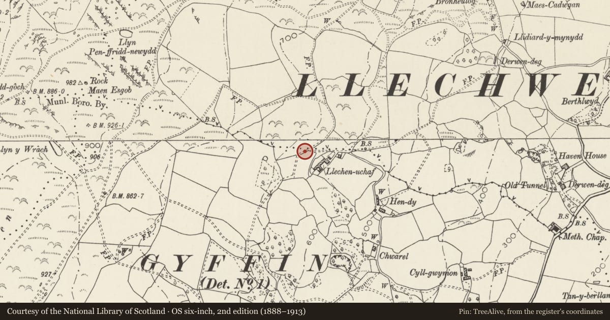 Ordnance Survey six-inch map, 2nd edition (1888–1913) covering the location of Row of Pigsties at Llechan-uchaf, Henryd, Conwy, with a pin at the register's coordinates