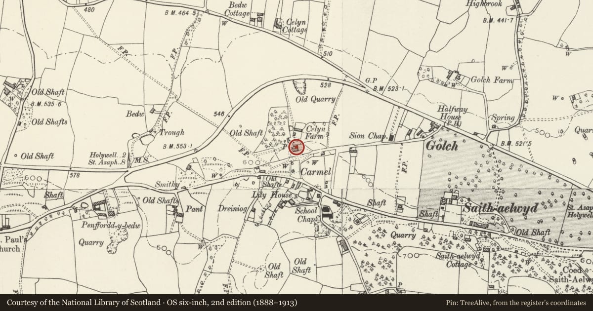 Ordnance Survey six-inch map, 2nd edition (1888–1913) covering the location of Celyn Farmhouse, Whitford, Flintshire, with a pin at the register's coordinates