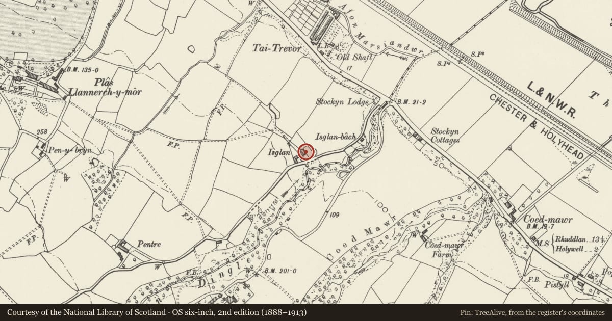 Ordnance Survey six-inch map, 2nd edition (1888–1913) covering the location of Isglan, Mostyn, Flintshire, with a pin at the register's coordinates