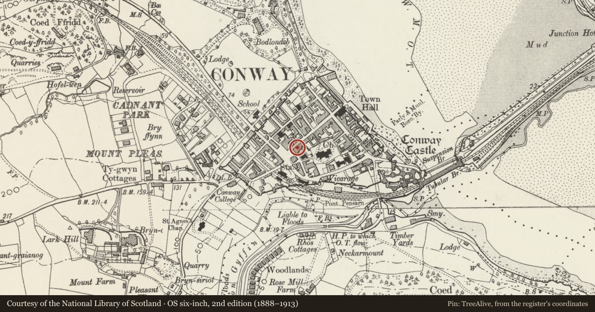 Ordnance Survey six-inch map, 2nd edition (1888–1913) covering the location of House and baker's shop, Conwy, with a pin at the register's coordinates