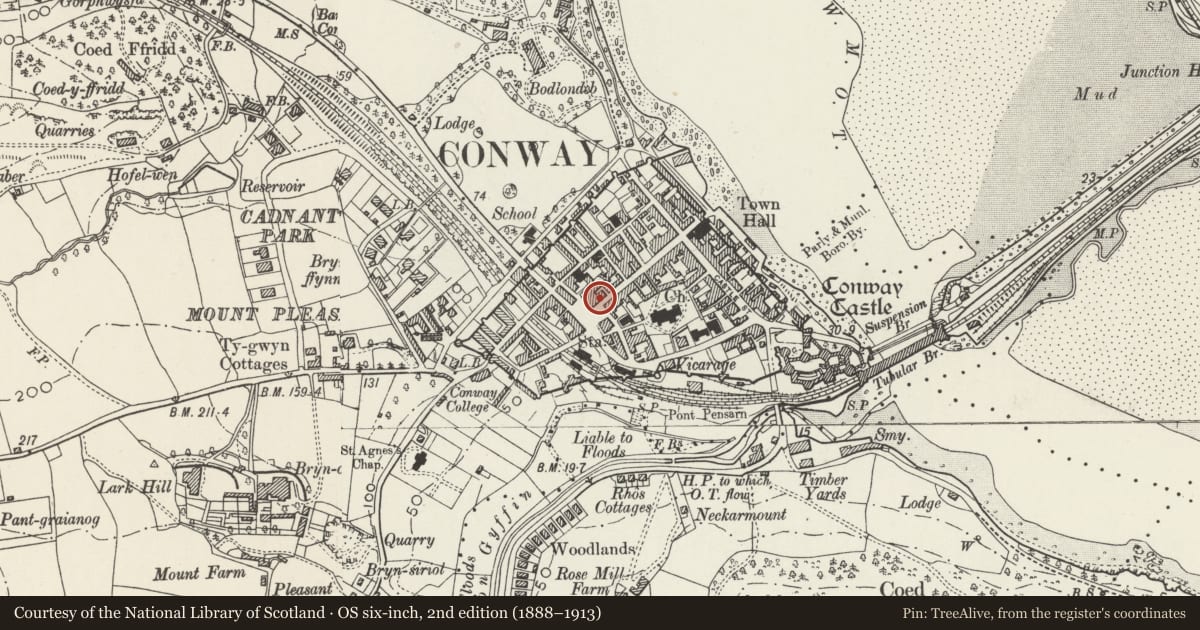 Ordnance Survey six-inch map, 2nd edition (1888–1913) covering the location of House and Pantri Conwy Pantry, with a pin at the register's coordinates