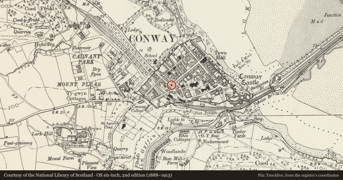 Ordnance Survey six-inch map, 2nd edition (1888–1913) covering the location of Fountain and statue of Llewelyn ap Iowerth, Conwy, with a pin at the register's coordinates
