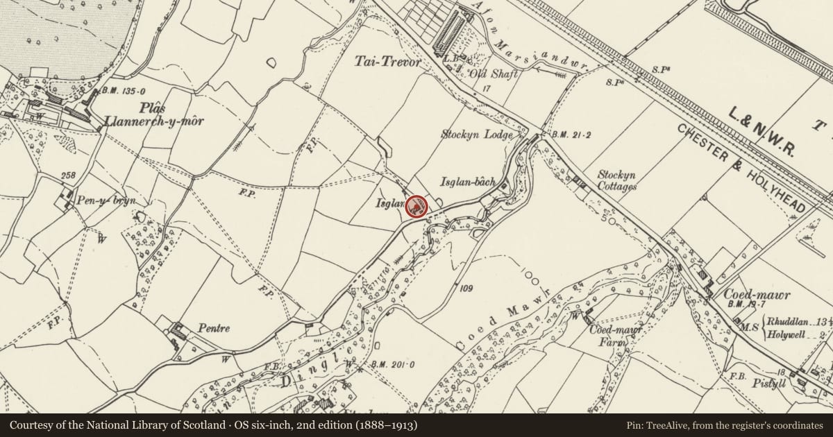 Ordnance Survey six-inch map, 2nd edition (1888–1913) covering the location of Barn and cow house at Isglan Farm, Mostyn, Flintshire, with a pin at the register's coordinates