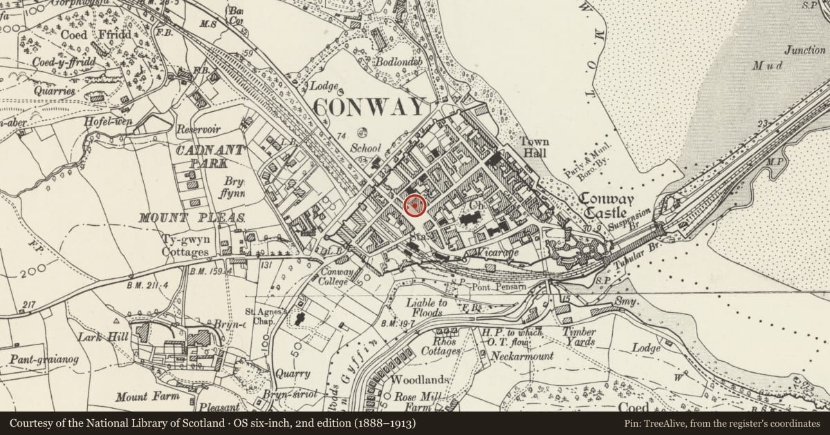 Ordnance Survey six-inch map, 2nd edition (1888–1913) covering the location of Alfredo Restaurant, Conwy, with a pin at the register's coordinates