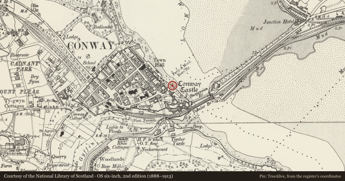 Ordnance Survey six-inch map, 2nd edition (1888–1913) covering the location of The Quay, Conwy, with a pin at the register's coordinates