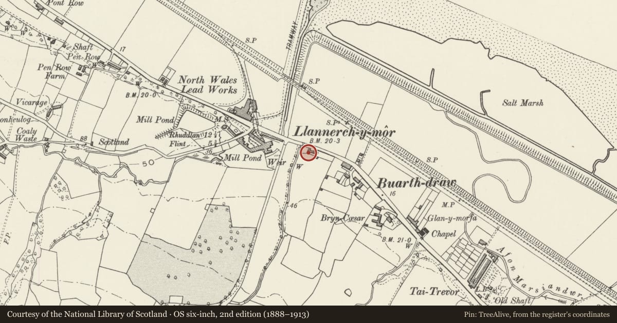 Ordnance Survey six-inch map, 2nd edition (1888–1913) covering the location of The Old Tavern Inn, Mostyn, Flintshire, with a pin at the register's coordinates