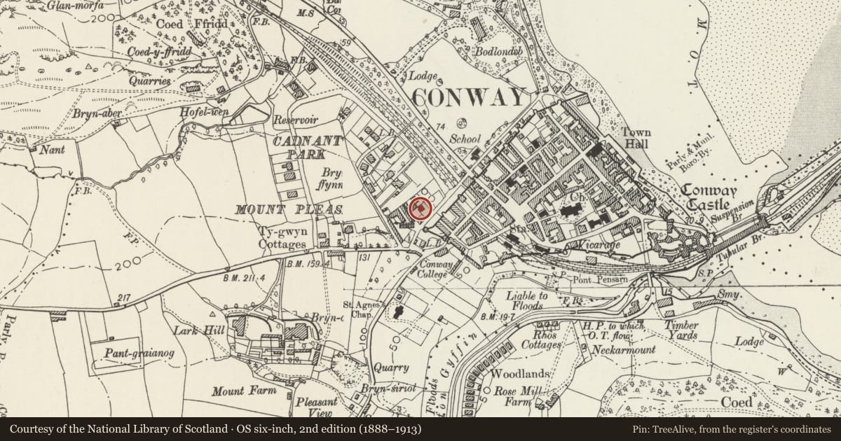 Ordnance Survey six-inch map, 2nd edition (1888–1913) covering the location of Llys Llewelyn, Conwy, with a pin at the register's coordinates