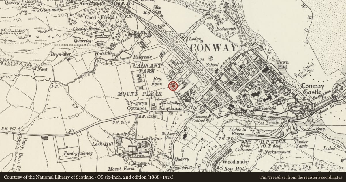 Ordnance Survey six-inch map, 2nd edition (1888–1913) covering the location of 1 Bryn Ffynnon, Conwy, with a pin at the register's coordinates