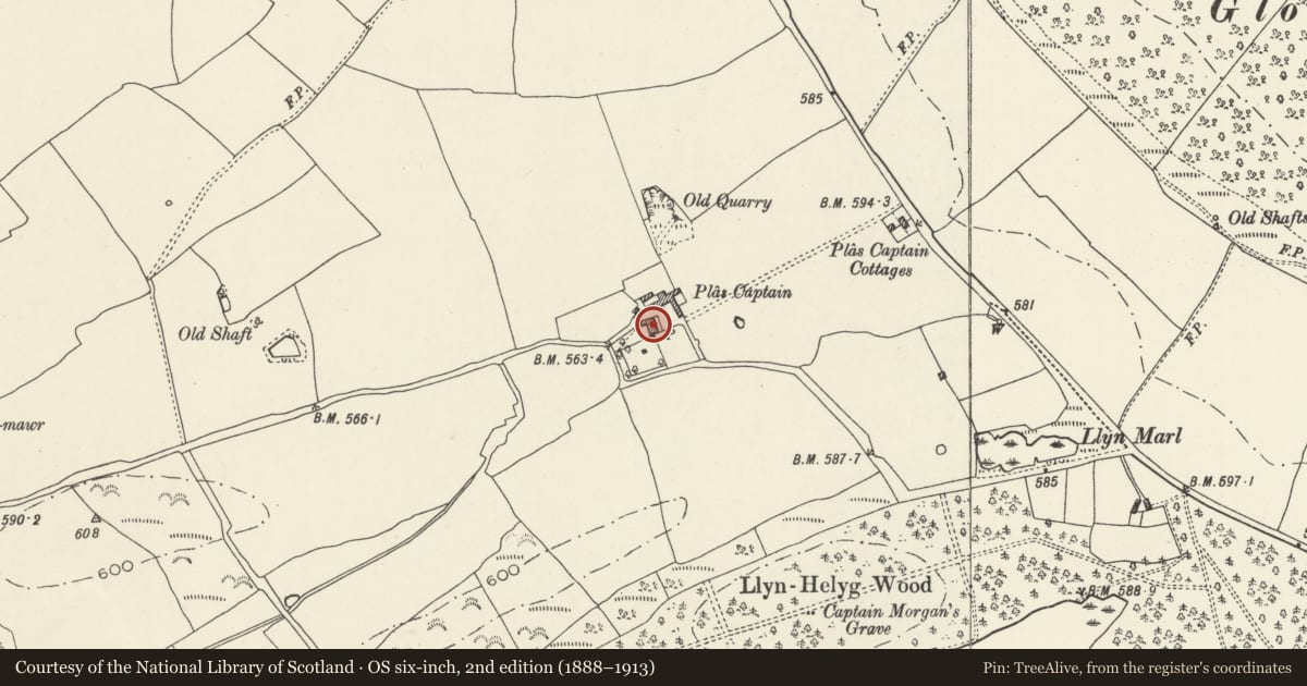 Ordnance Survey six-inch map, 2nd edition (1888–1913) covering the location of Plas Captain Farmhouse, Whitford, Flintshire, with a pin at the register's coordinates