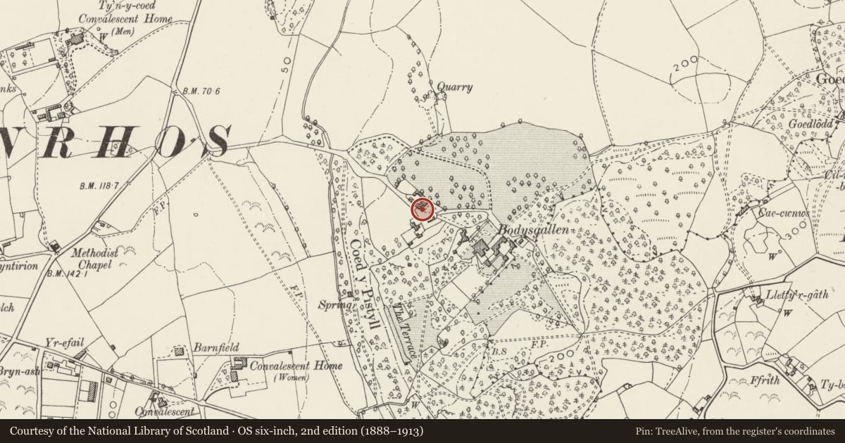 Ordnance Survey six-inch map, 2nd edition (1888–1913) covering the location of Former barn and granary of Bodysgallen Farm, Conwy, with a pin at the register's coordinates