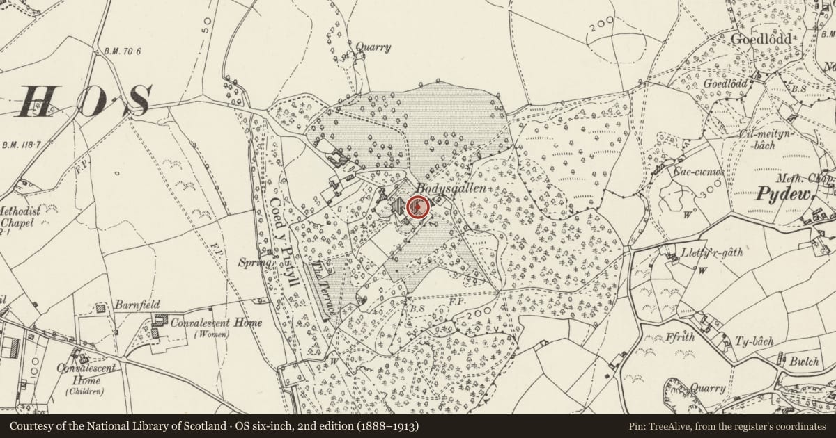 Ordnance Survey six-inch map, 2nd edition (1888–1913) covering the location of Bailiff's House at Bodysgallen Hall, Conwy, with a pin at the register's coordinates