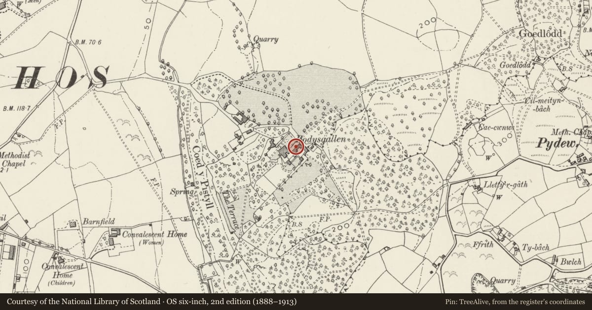 Ordnance Survey six-inch map, 2nd edition (1888–1913) covering the location of Walls and gate piers to courtyard NE of Bodysgallen Hall, Conwy, with a pin at the register's coordinates