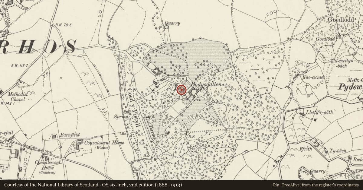 Ordnance Survey six-inch map, 2nd edition (1888–1913) covering the location of Terrace wall, including steps and gate, to NW side of Bodysgallen Hall, Conwy, with a pin at the register's coordinates