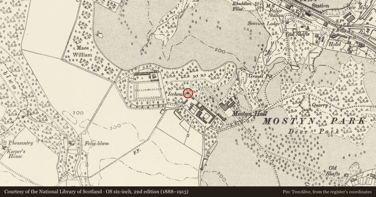Ordnance Survey six-inch map, 2nd edition (1888–1913) covering the location of Mostyn Hall Ice House, Flintshire, with a pin at the register's coordinates