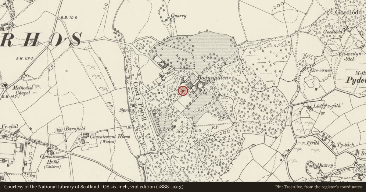 Ordnance Survey six-inch map, 2nd edition (1888–1913) covering the location of Garden walls, gate piers and railings to SW of Bodysgallen Hall, Conwy, with a pin at the register's coordinates