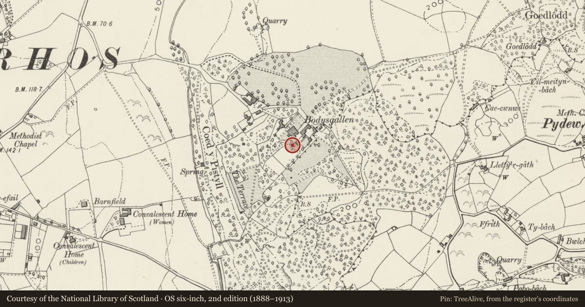 Ordnance Survey six-inch map, 2nd edition (1888–1913) covering the location of Walls, steps, terraces & gate to Water Garden at Bodysgallen Hall, Conwy, with a pin at the register's coordinates