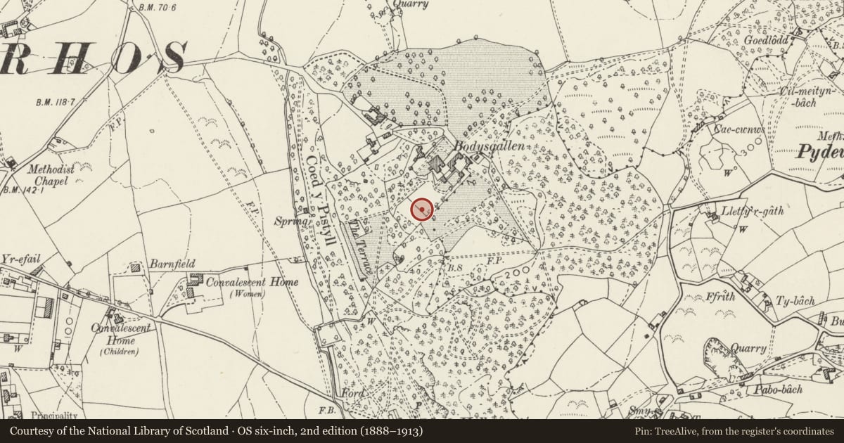 Ordnance Survey six-inch map, 2nd edition (1888–1913) covering the location of Kitchen garden walls at Bodysgallen Hall, Conwy, with a pin at the register's coordinates