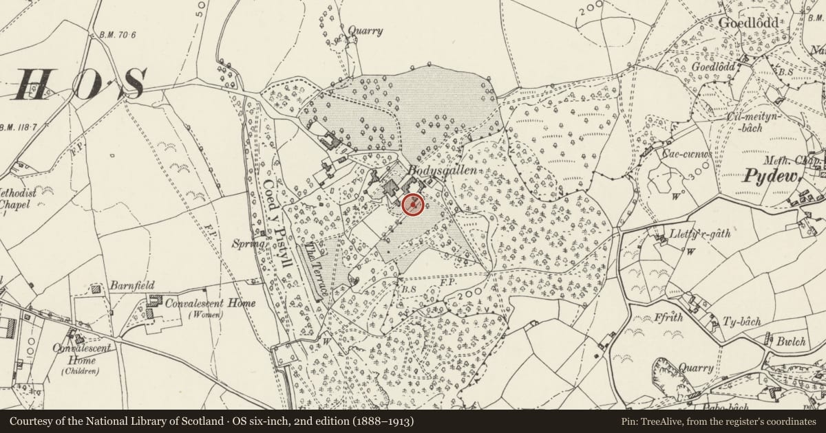 Ordnance Survey six-inch map, 2nd edition (1888–1913) covering the location of Dutch Garden walls and terrace at Bodysgallen Hall, including Mulberry Cottage & bothy, Conwy, with a pin at the register's coordinates