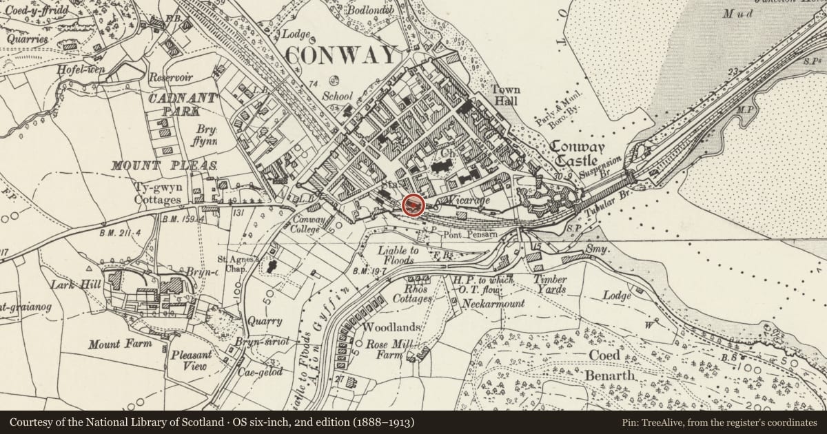 Ordnance Survey six-inch map, 2nd edition (1888–1913) covering the location of Conwy Visitor Centre, with a pin at the register's coordinates