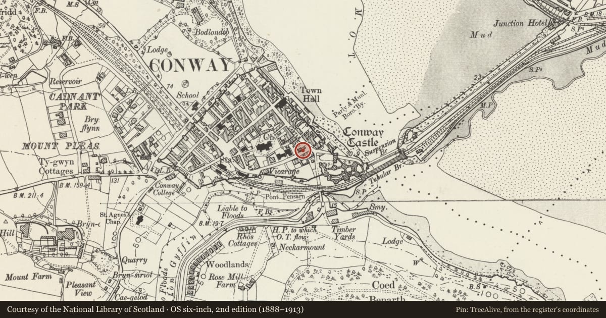 Ordnance Survey six-inch map, 2nd edition (1888–1913) covering the location of The Bridge public house, Conwy, with a pin at the register's coordinates